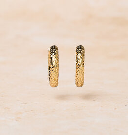 Hammered Hoops