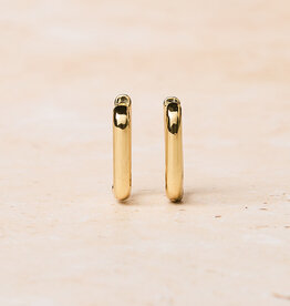 Bold Rectangular Hoops
