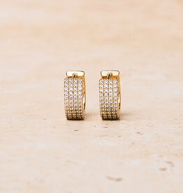 Bold Zirconia Hoops
