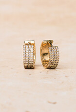 Bold Zirconia Hoops