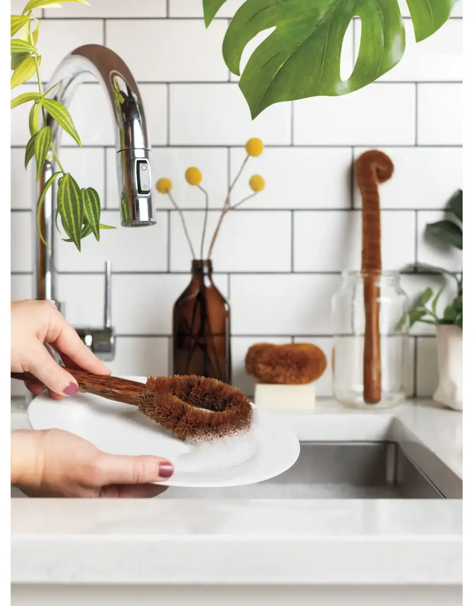 Coconut Fiber Dish Brush