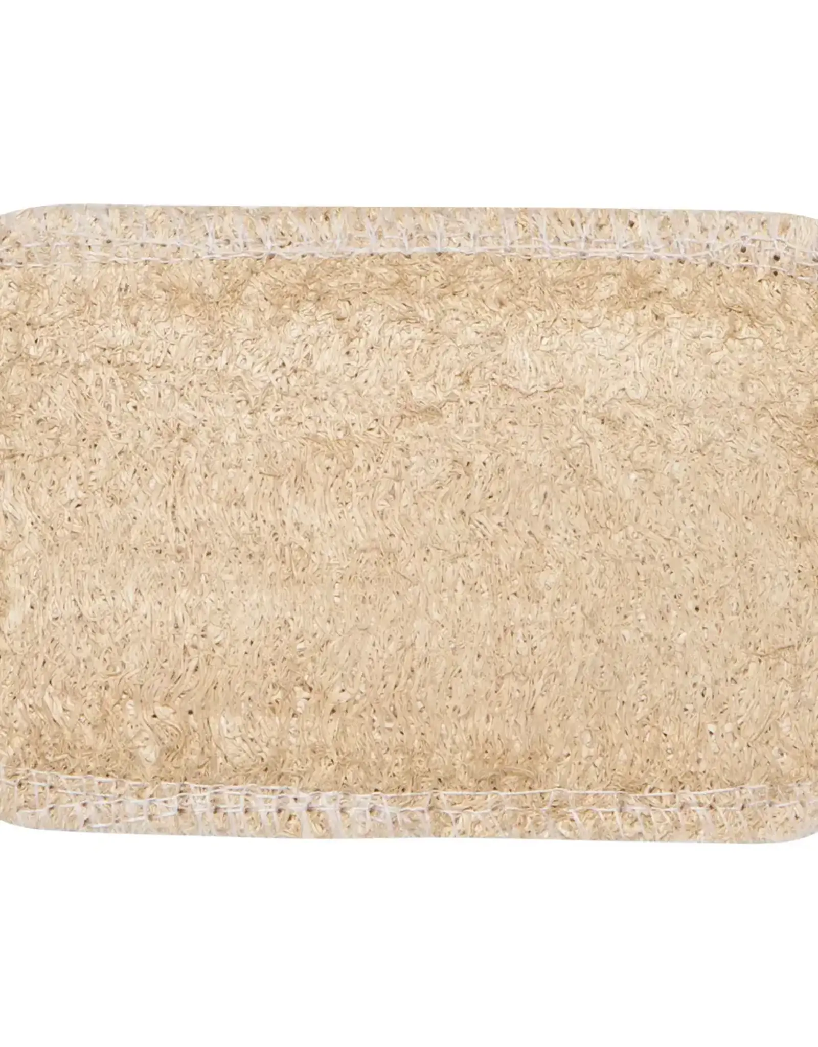 Dish Sponges Set of 2