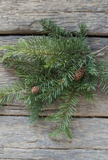 19" Douglas Fir Spray with Cones