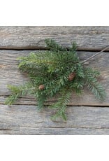 19" Douglas Fir Spray with Cones