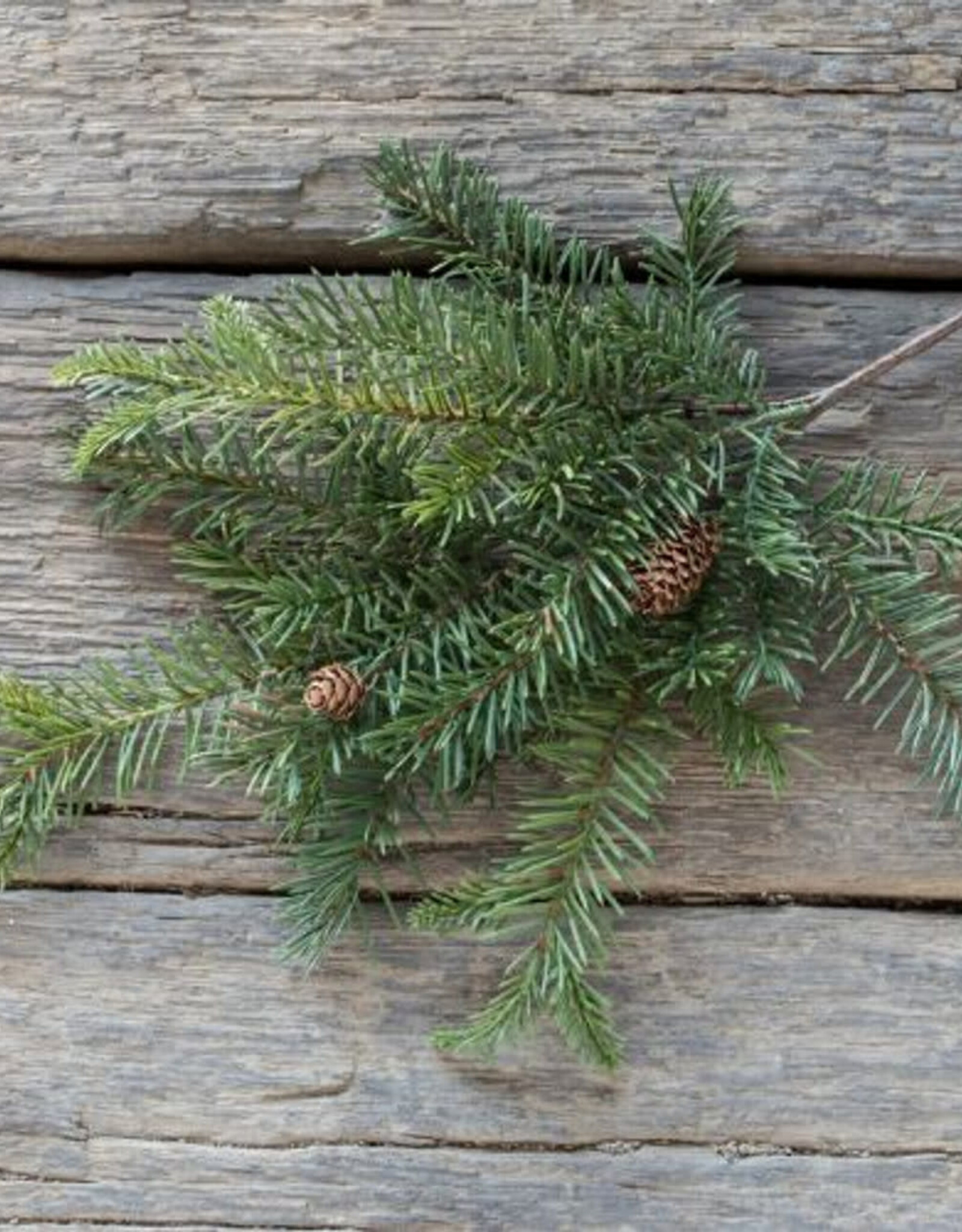 19" Douglas Fir Spray with Cones