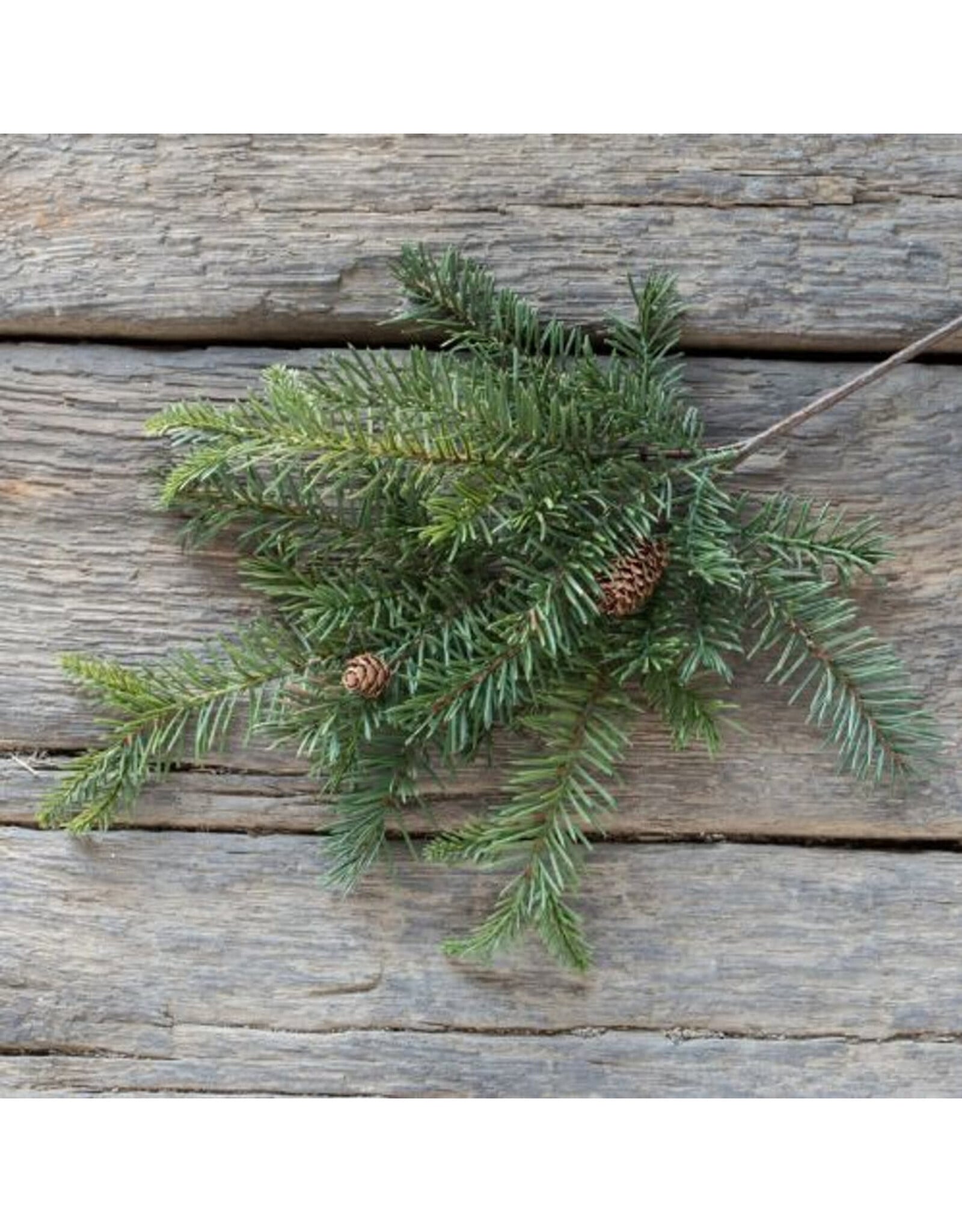 19" Douglas Fir Spray with Cones