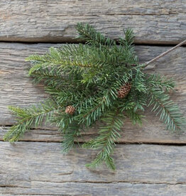 19" Douglas Fir Spray with Cones