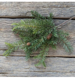19" Douglas Fir Spray with Cones