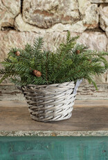 19" Douglas Fir Spray with Cones