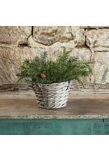 19" Douglas Fir Spray with Cones