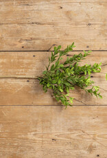22" Green Leaf Spray