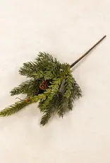 13" White Spruce & Tsuga Hemlock Pick