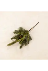 13" White Spruce & Tsuga Hemlock Pick