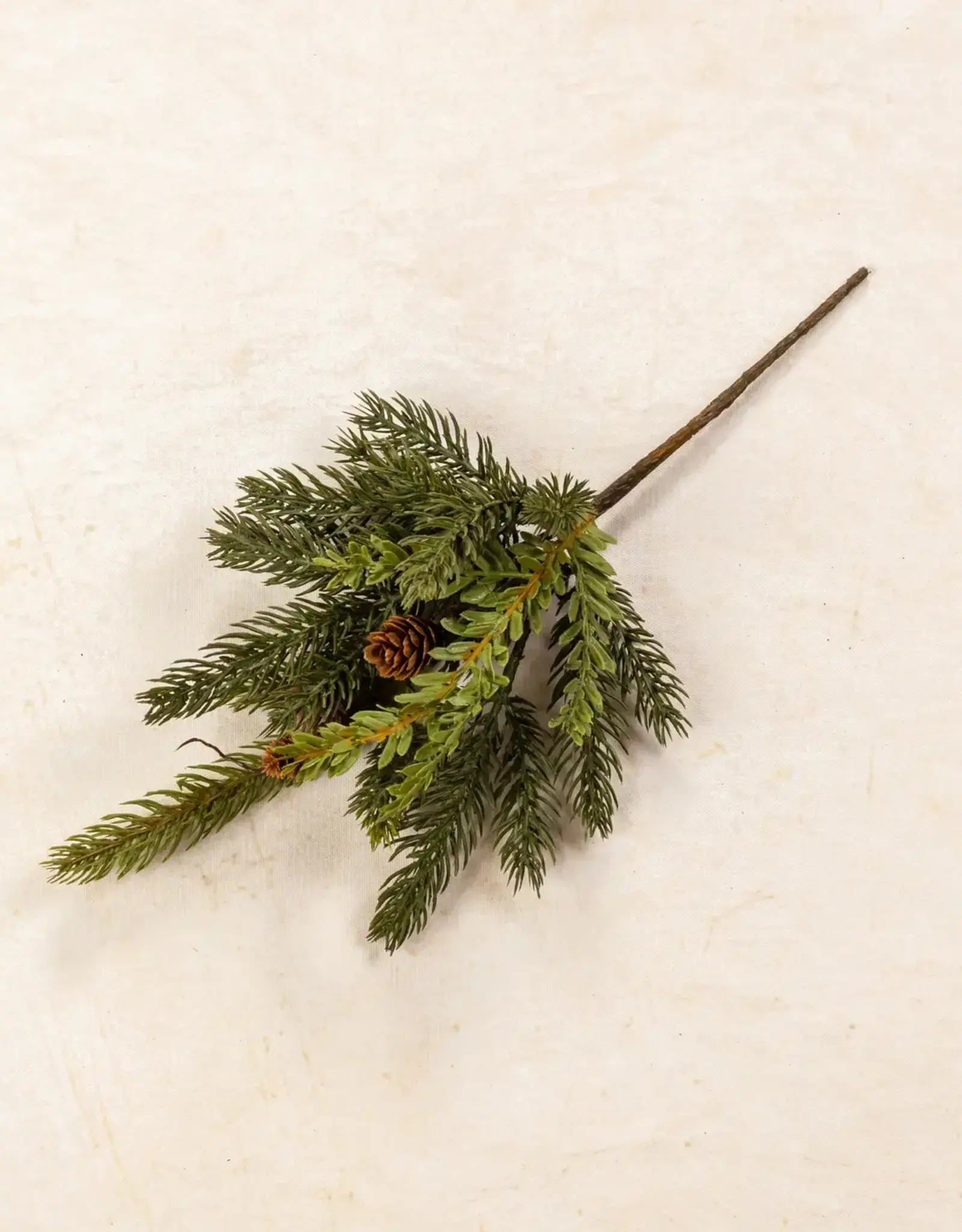 13" White Spruce & Tsuga Hemlock Pick