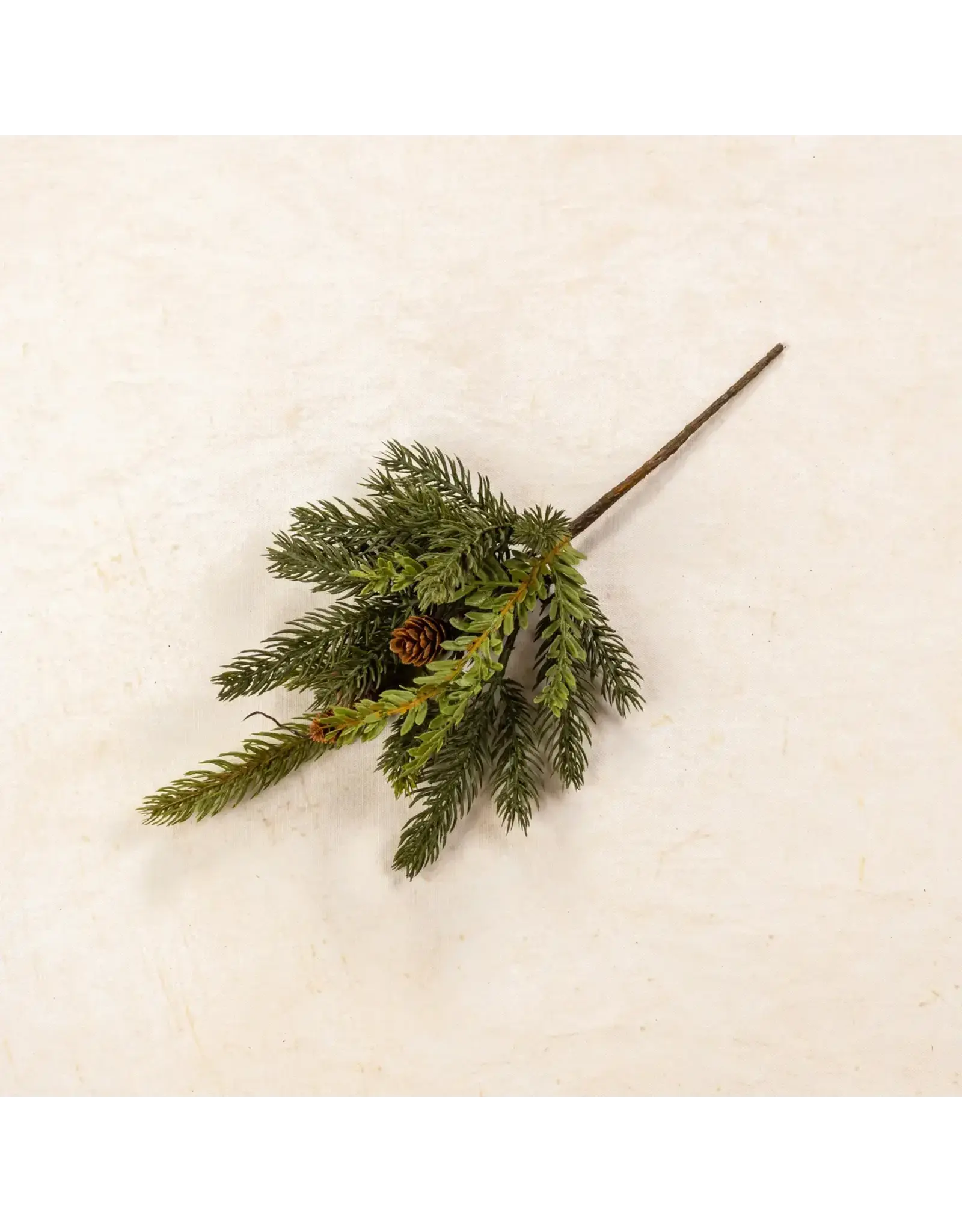 13" White Spruce & Tsuga Hemlock Pick