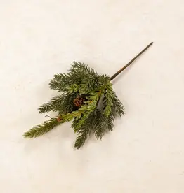 13" White Spruce & Tsuga Hemlock Pick