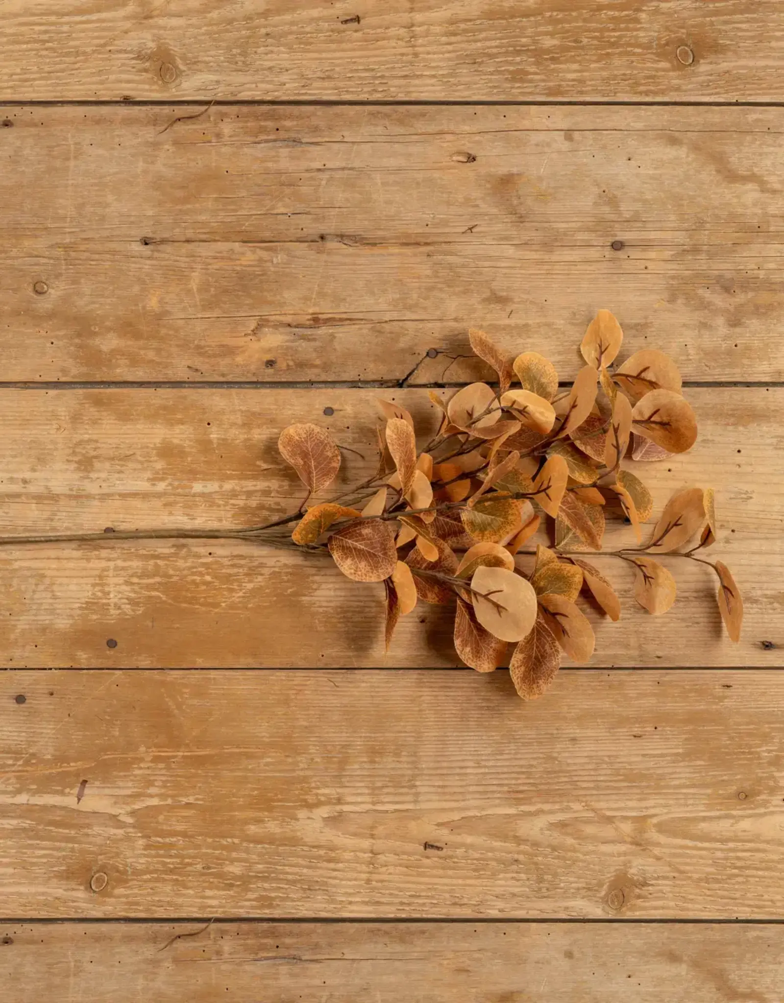 22" Brown Laurel Leaf Bush