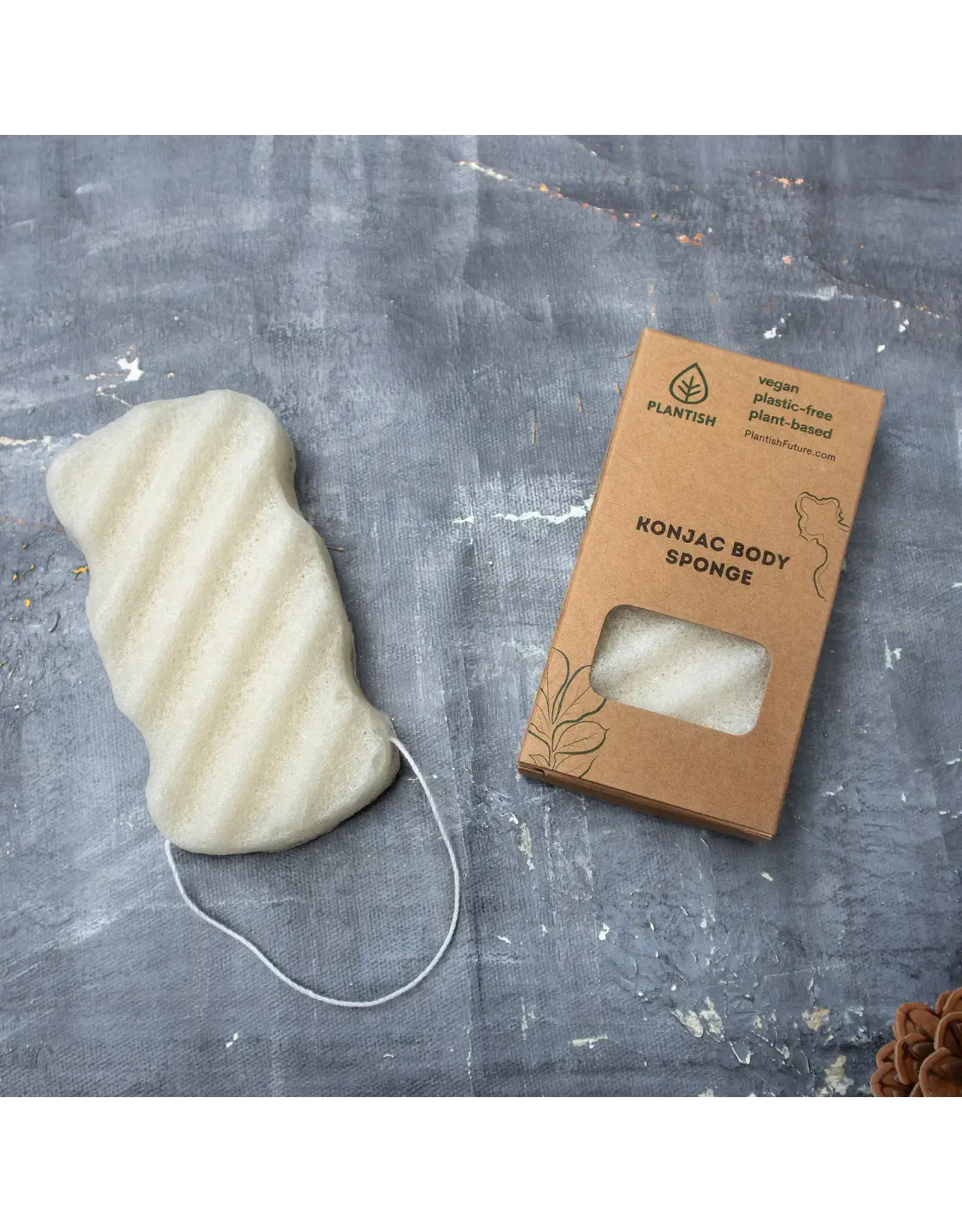 Konjac Body Sponge