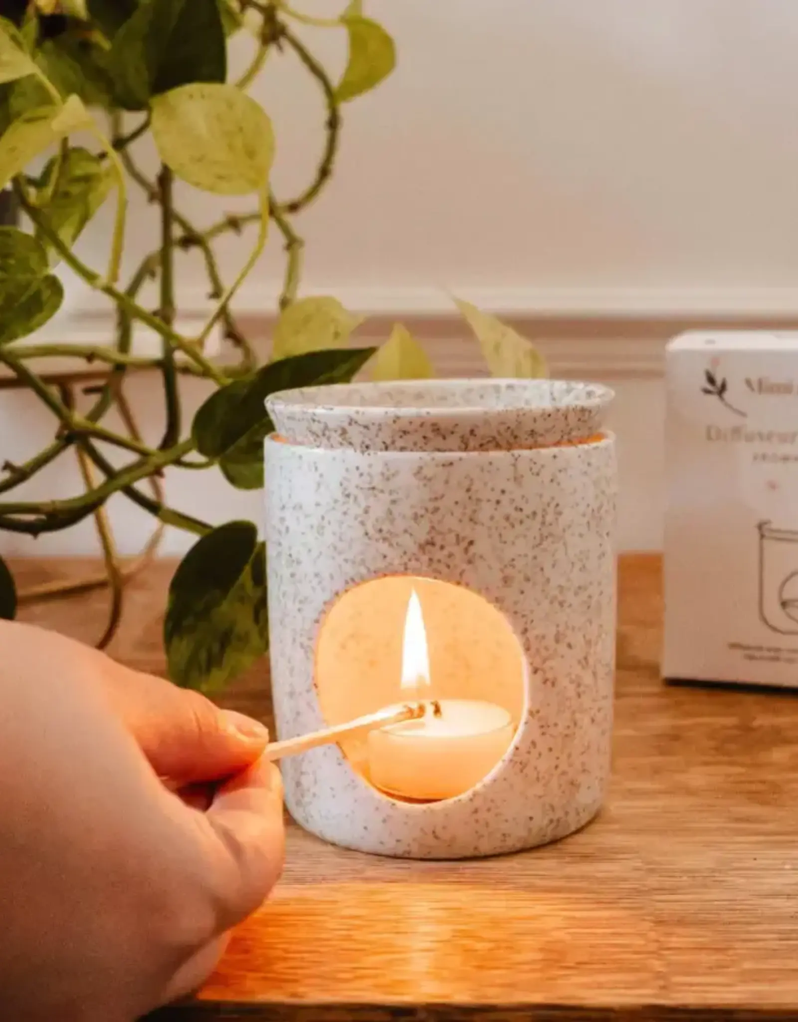 Aromatic Ceramic Diffuser