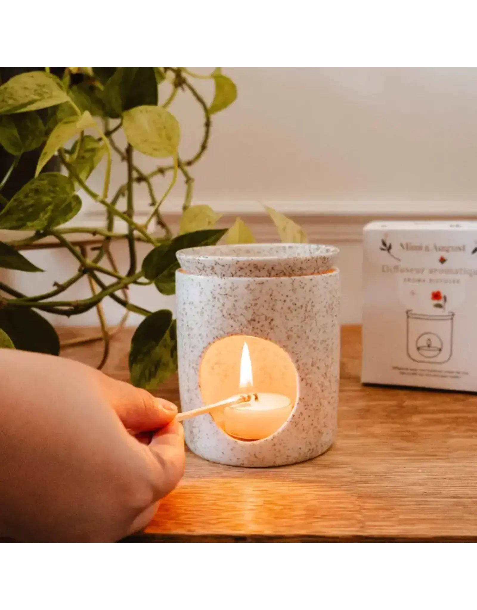 Aromatic Ceramic Diffuser