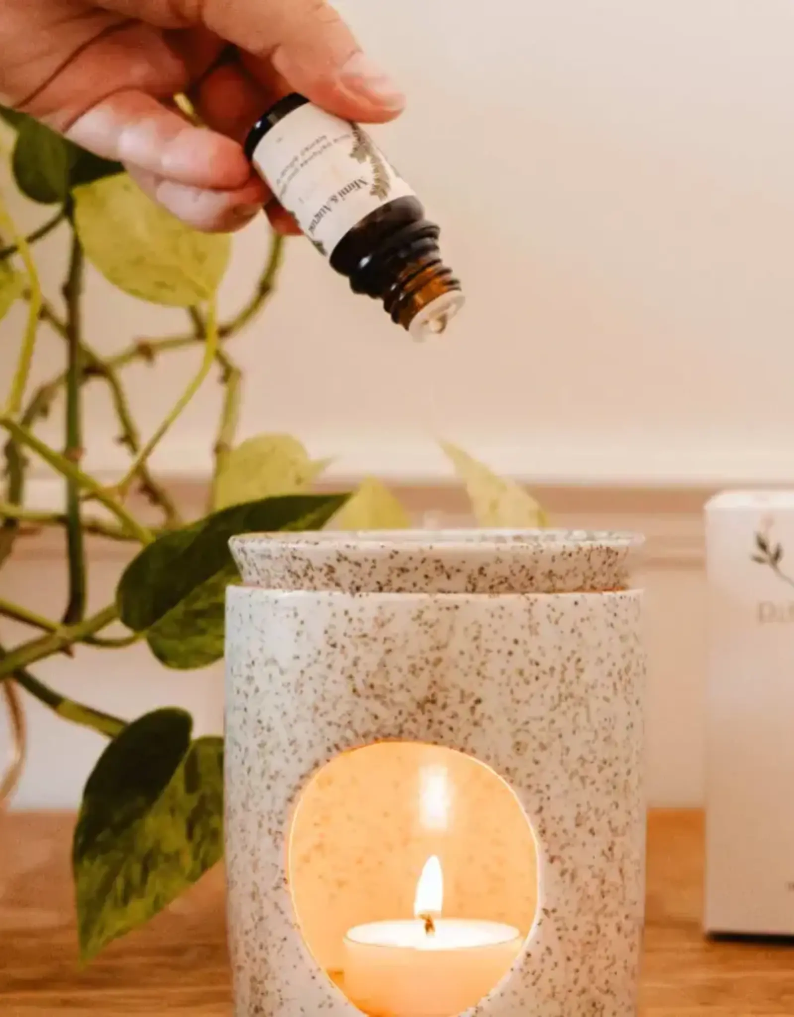 Aromatic Ceramic Diffuser