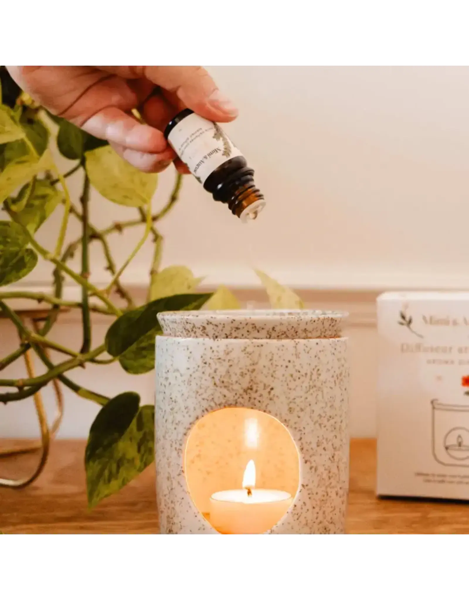 Aromatic Ceramic Diffuser