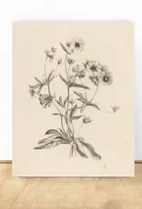 Vintage Flower Art Print 8x10