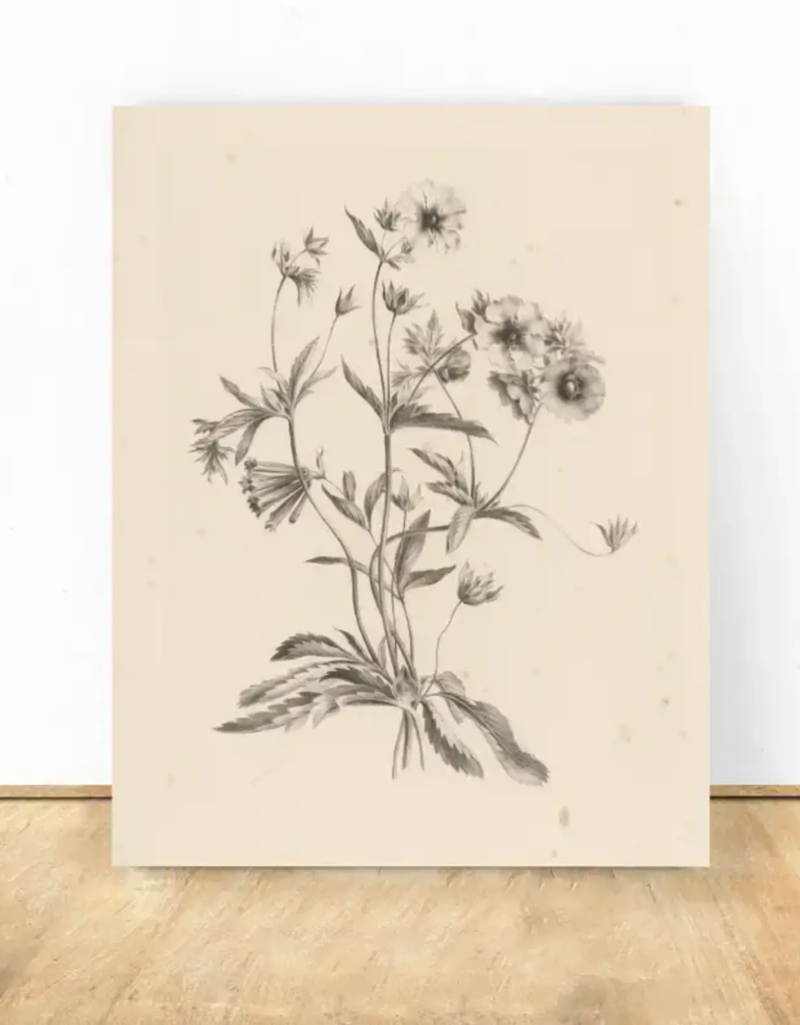 Vintage Flower Art Print 8x10