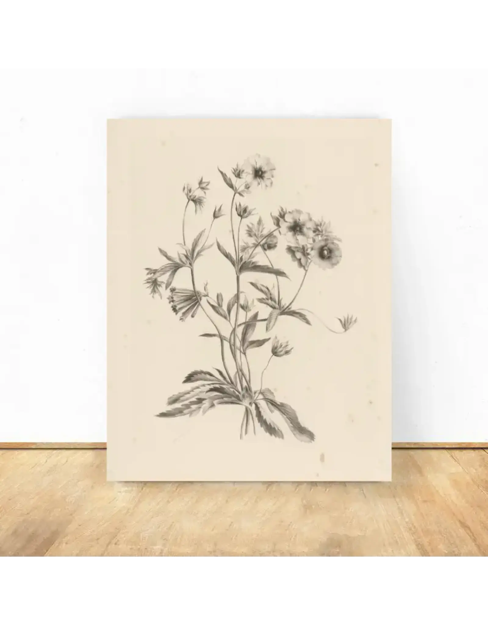 Vintage Flower Art Print 8x10
