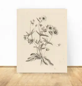 Vintage Flower Art Print 8x10