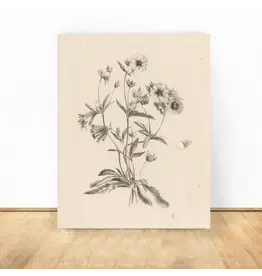 Vintage Flower Art Print 8x10