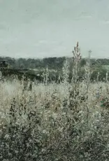 Wildflower Fields Vintage Art Print 11x14