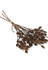 Wild Grass Bundle, Brown