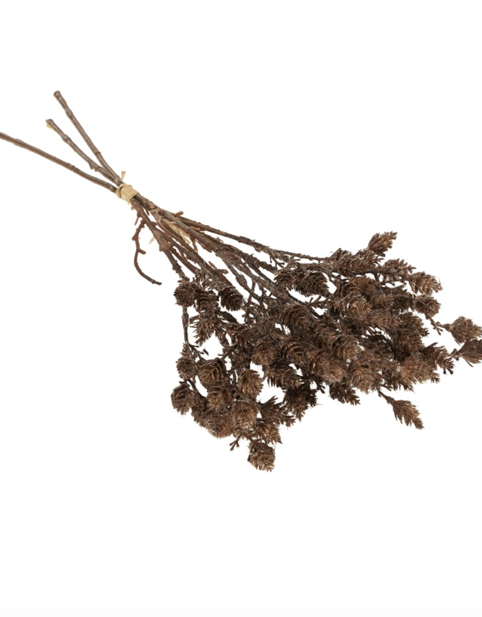 Wild Grass Bundle, Brown
