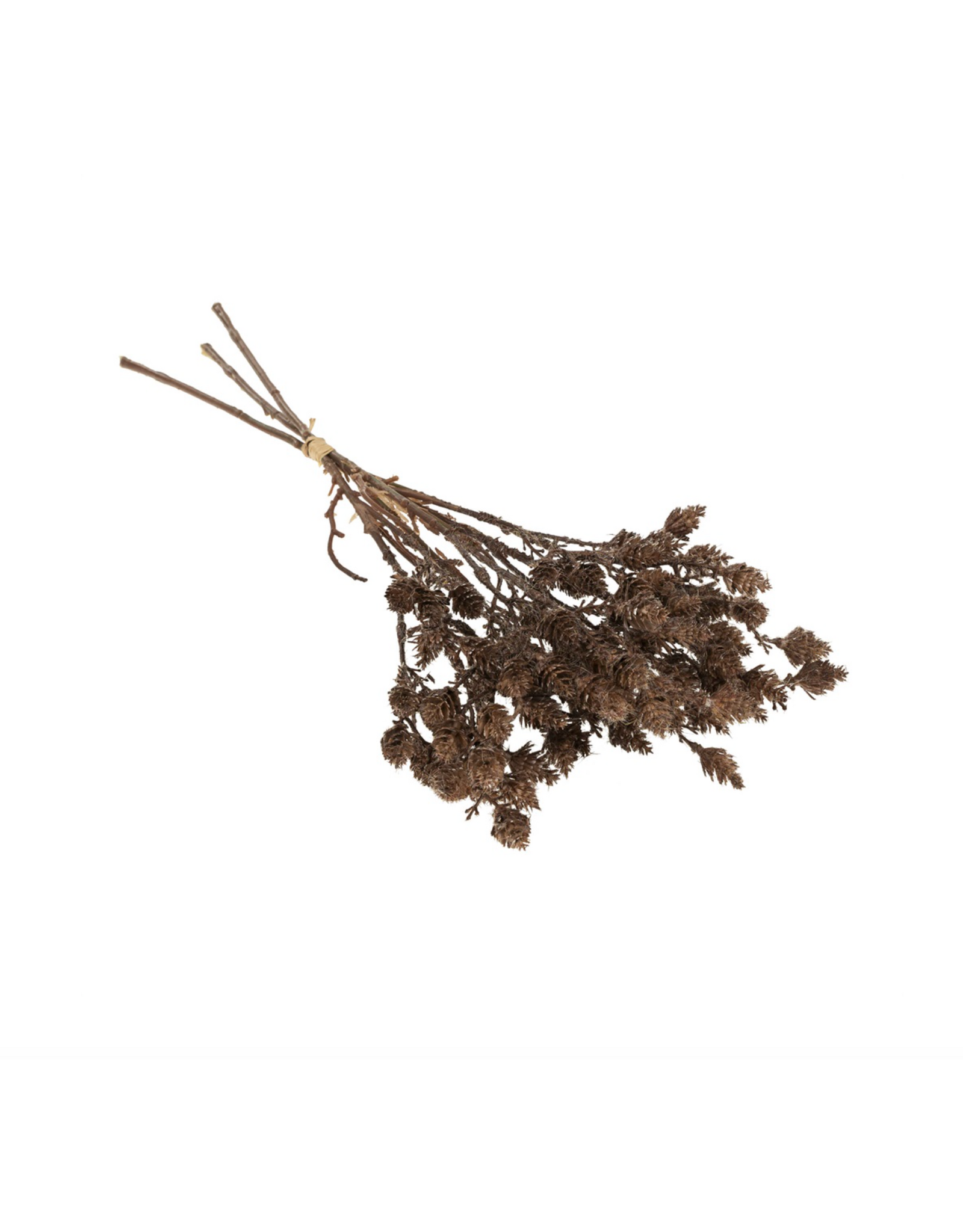 Wild Grass Bundle, Brown