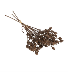 Wild Grass Bundle, Brown