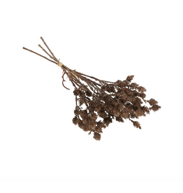 Wild Grass Bundle, Brown