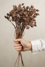 Wild Grass Bundle, Brown