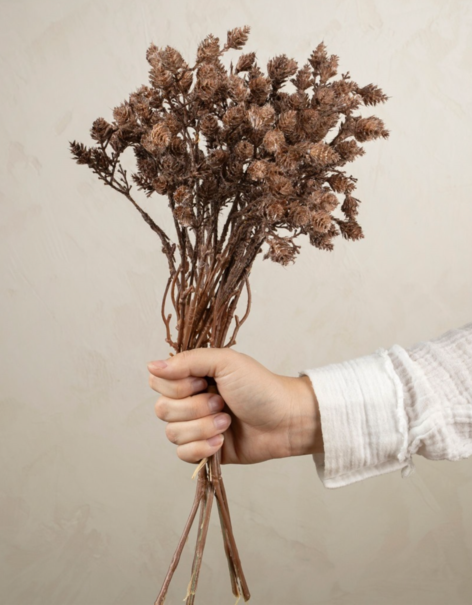 Wild Grass Bundle, Brown