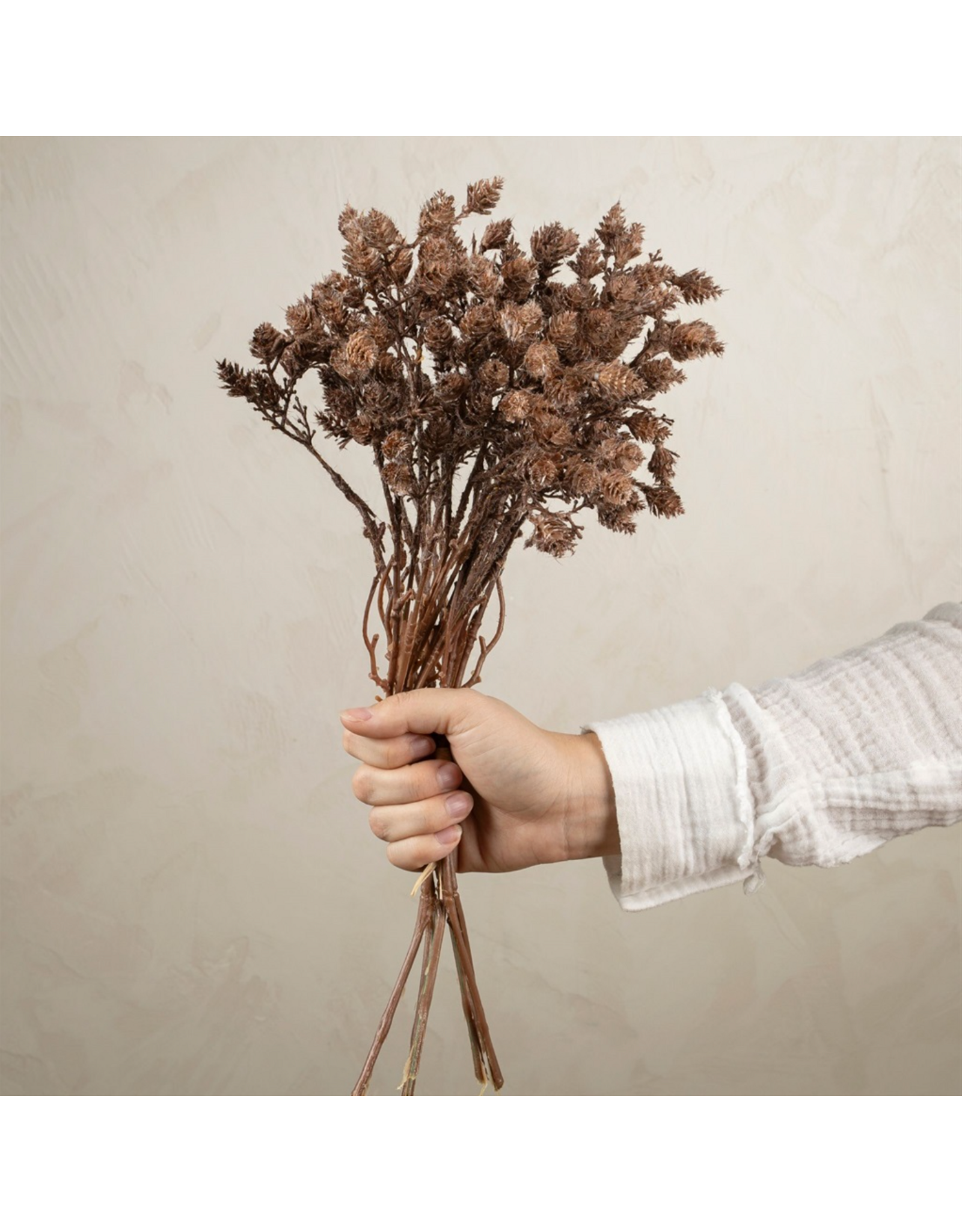 Wild Grass Bundle, Brown