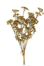 Meadow Grass Bouquet, Autumn