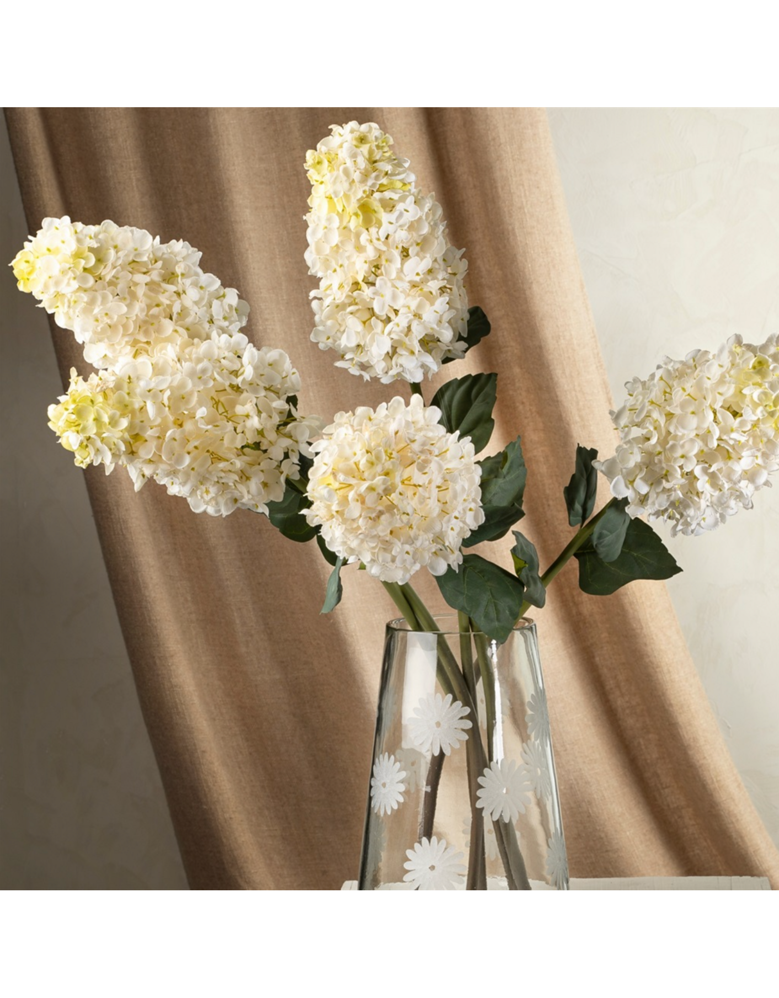 Hydrangea Paniculata Stem