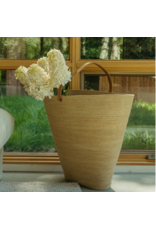 Hydrangea Paniculata Stem