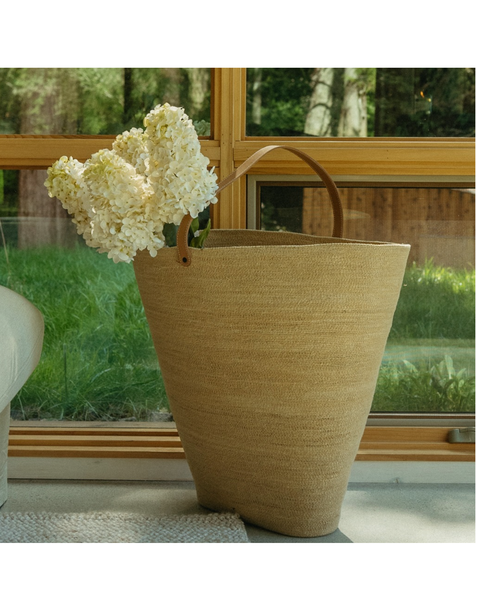 Hydrangea Paniculata Stem
