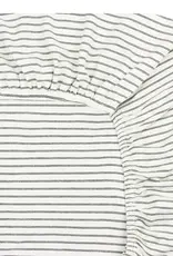 Crib Sheet - Taylor