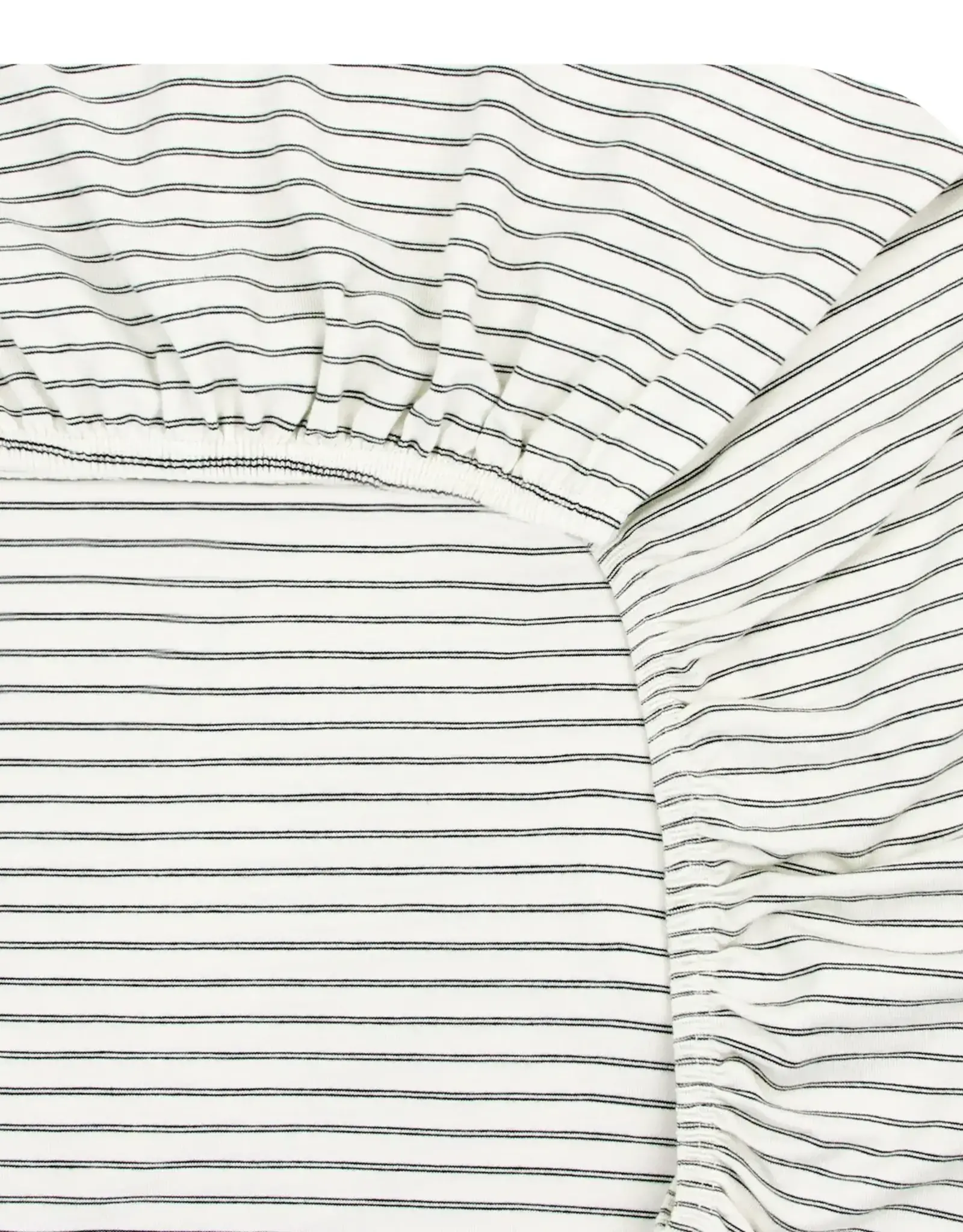 Crib Sheet - Taylor