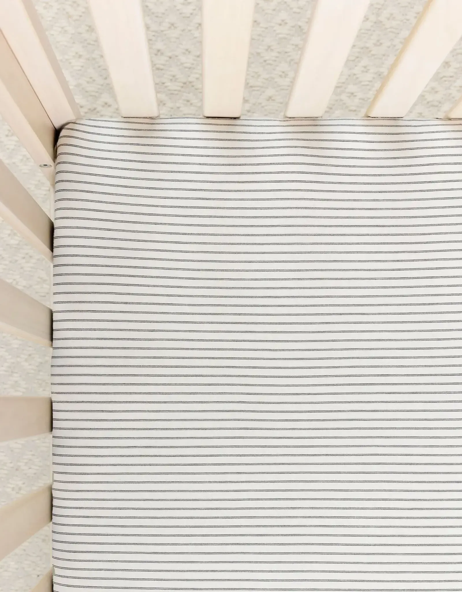 Crib Sheet - Taylor