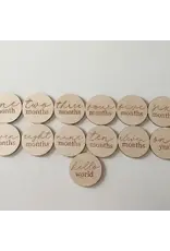 Baby Milestone Discs