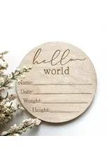 Hello World Baby Info Disc