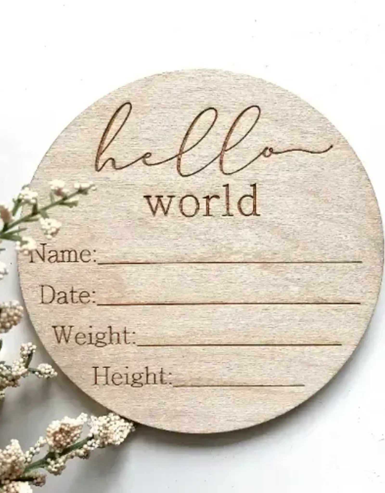 Hello World Baby Info Disc